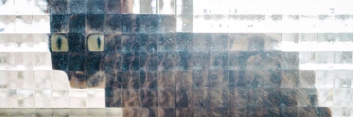 larissaonassis's profile banner image