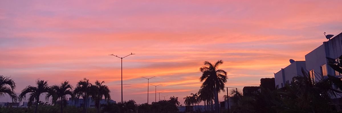 marurii_'s profile banner image