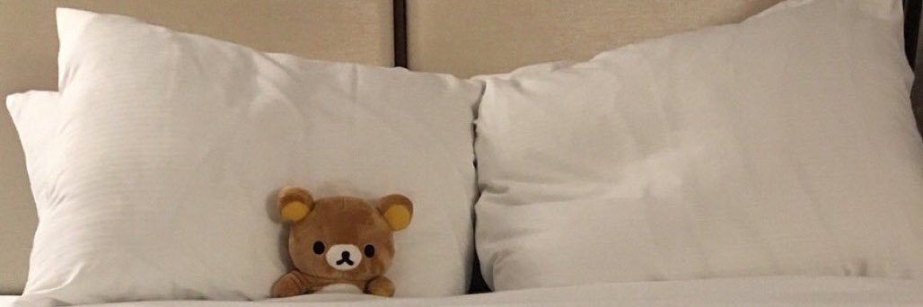 stephcillo's profile banner image