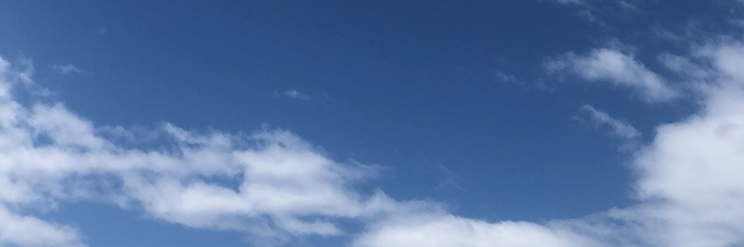 frauschroe's profile banner image