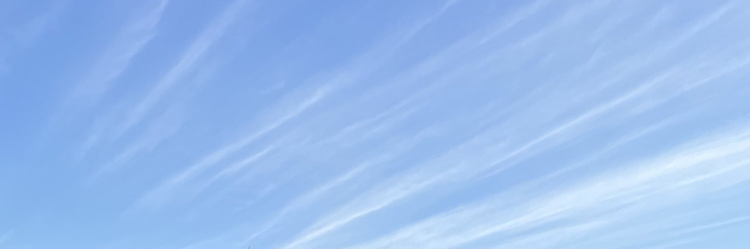 dill_obrien's profile banner image