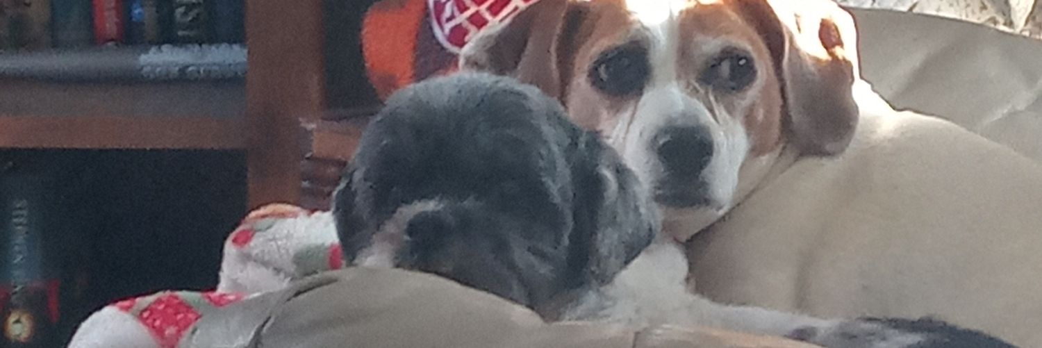 dcmudd's profile banner image