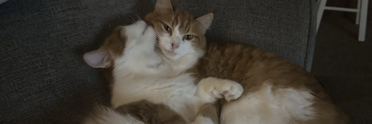 IanKozak0's profile banner image