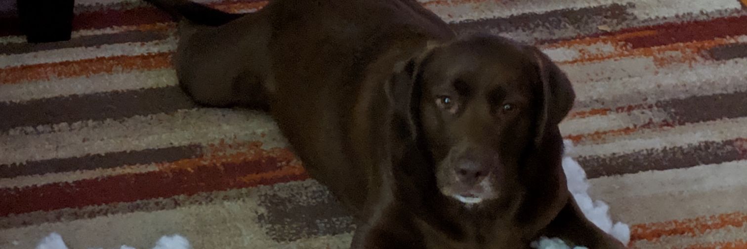 ScottyNotHotty's profile banner image