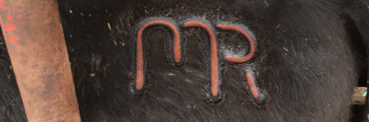 tlgagan's profile banner image