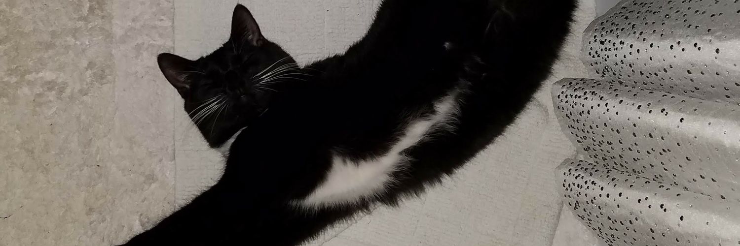 ScatJanDo's profile banner image