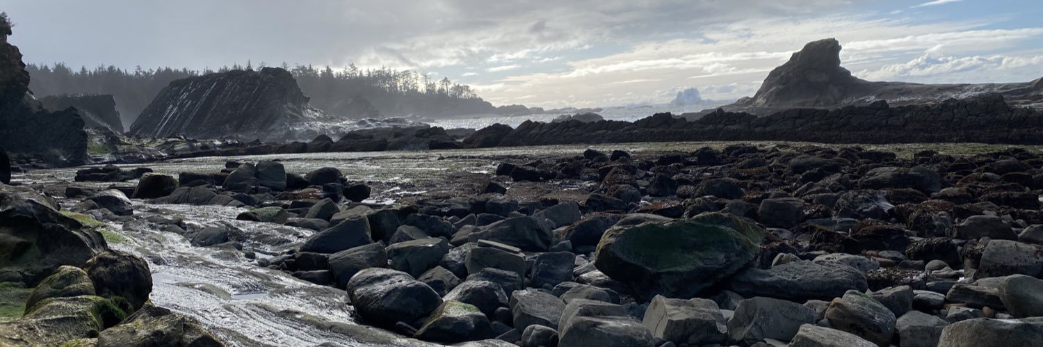 David Alexander banner