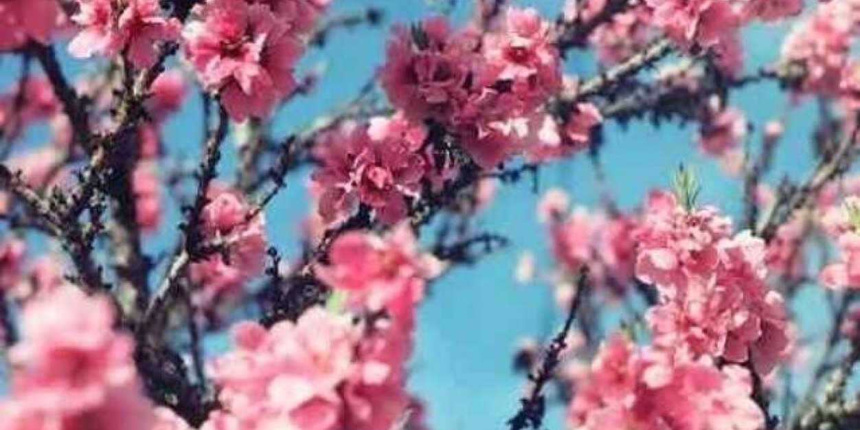 Kateb125's profile banner image
