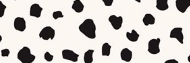 JaylinChristine's profile banner image