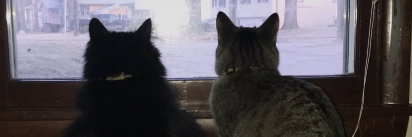 Marcus_Pudans3's profile banner image