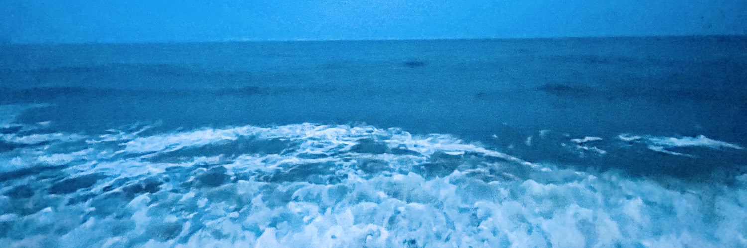 TaliaAdjani's profile banner image