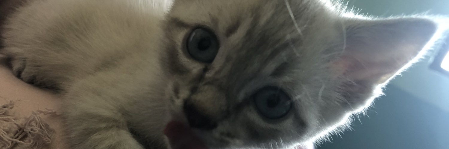 ch_el2's profile banner image