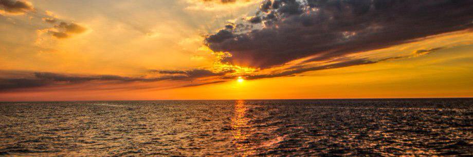 PeteD_805's profile banner image