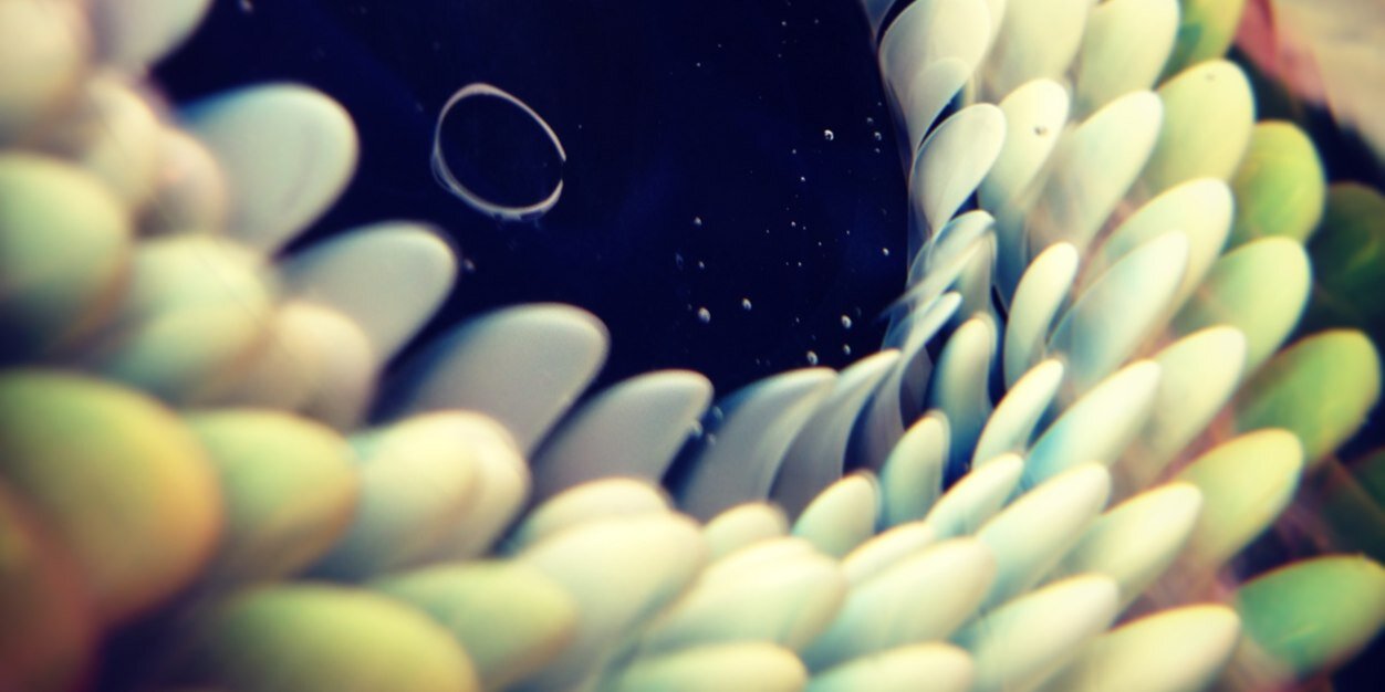 TheShaineSmith's profile banner image