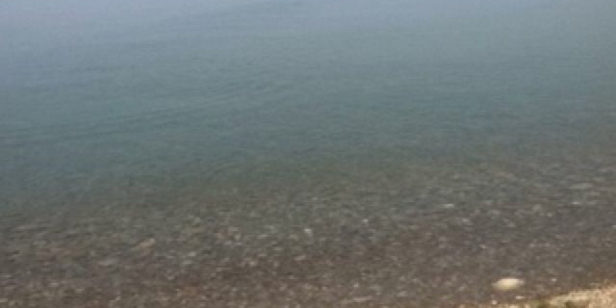 GageTopping's profile banner image