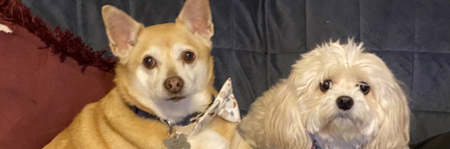 Ben_Katzz's profile banner image