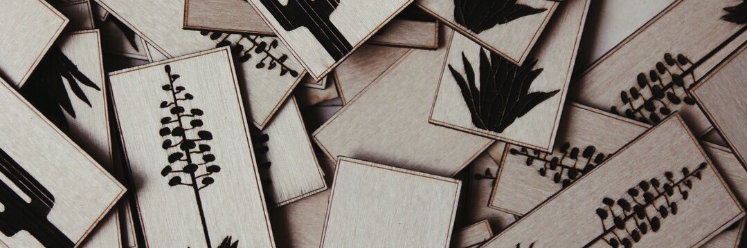 Katy Schmader banner