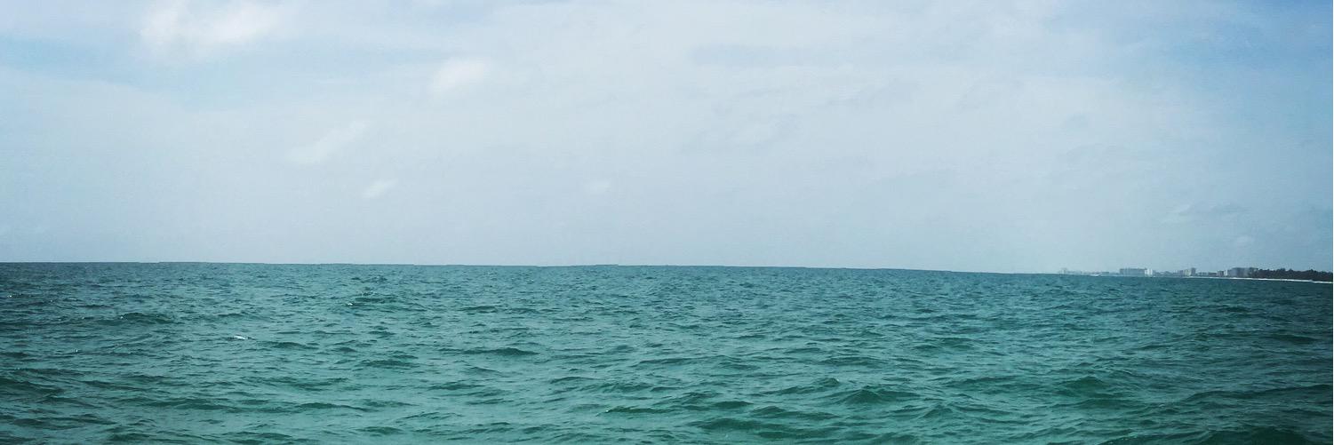 Jadreana's profile banner image