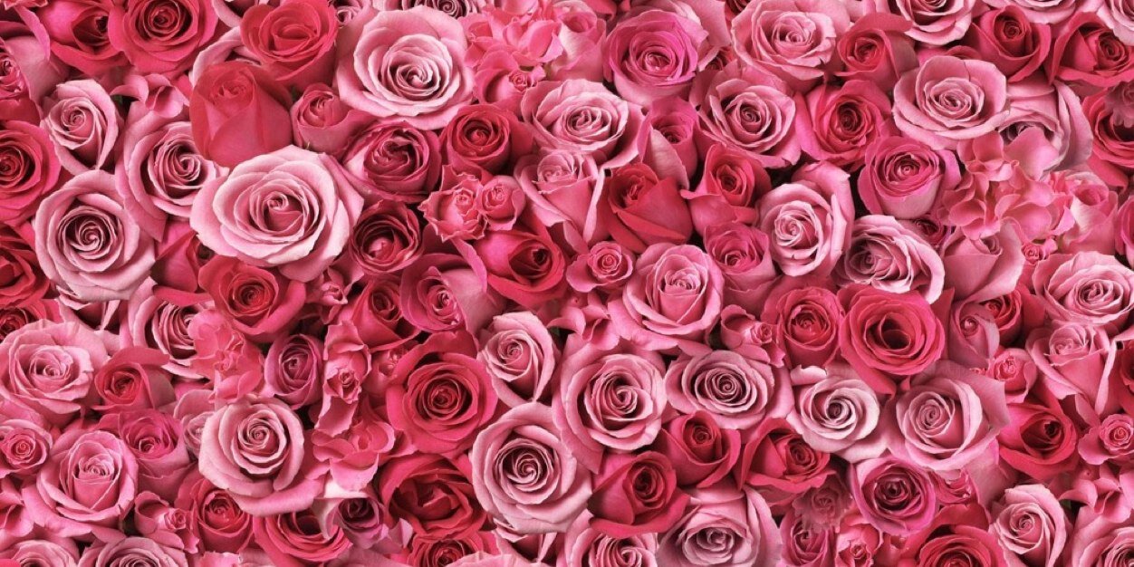 miratuah's profile banner image