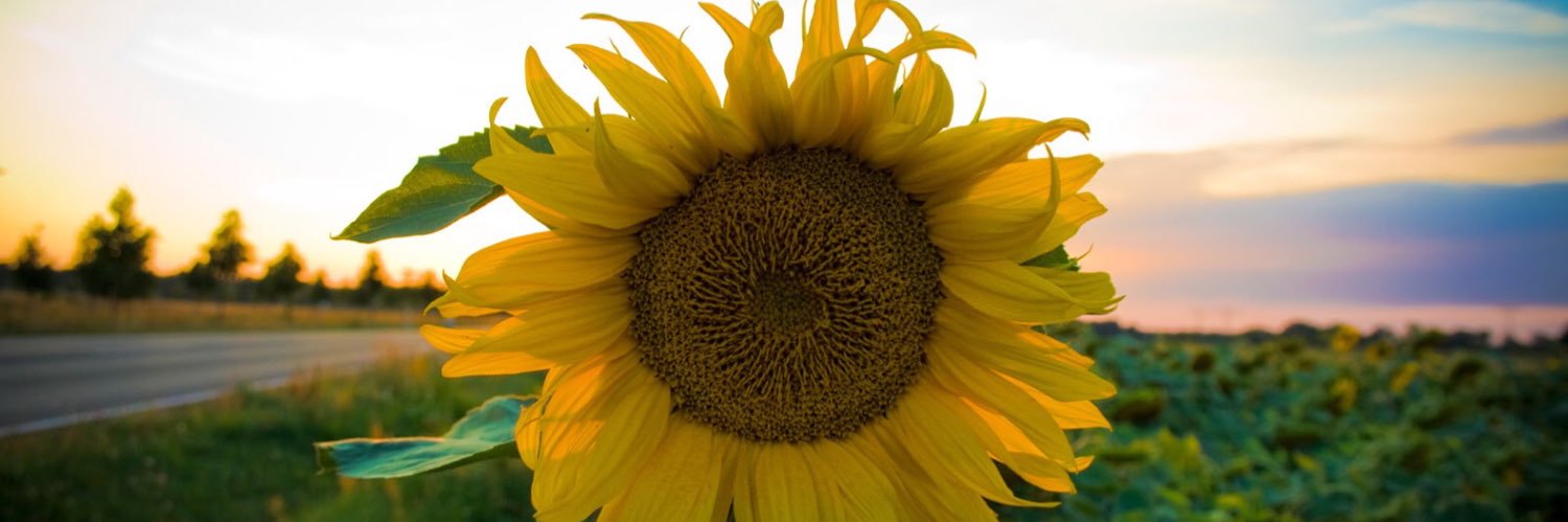 Joseejury's profile banner image
