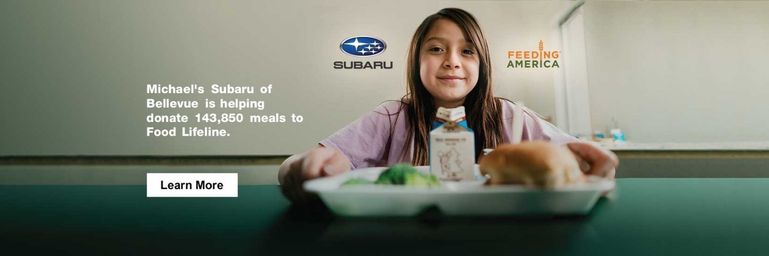 Michael's Subaru banner