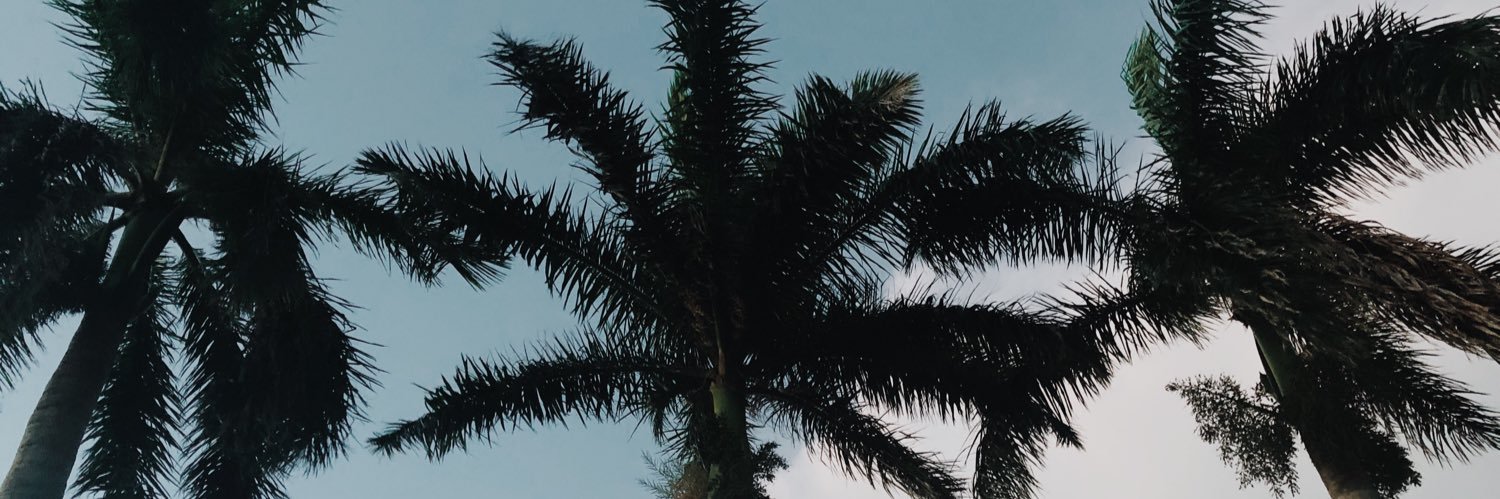_maggieeeee's profile banner image