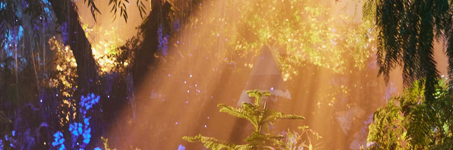 anyaisforger's profile banner image