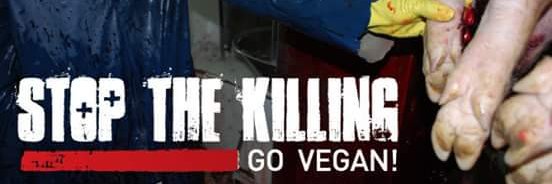 madameKerrBear's profile banner image