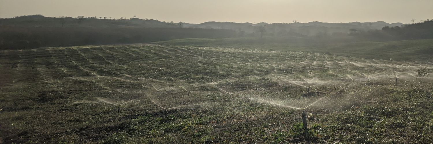 ecobisec's profile banner image