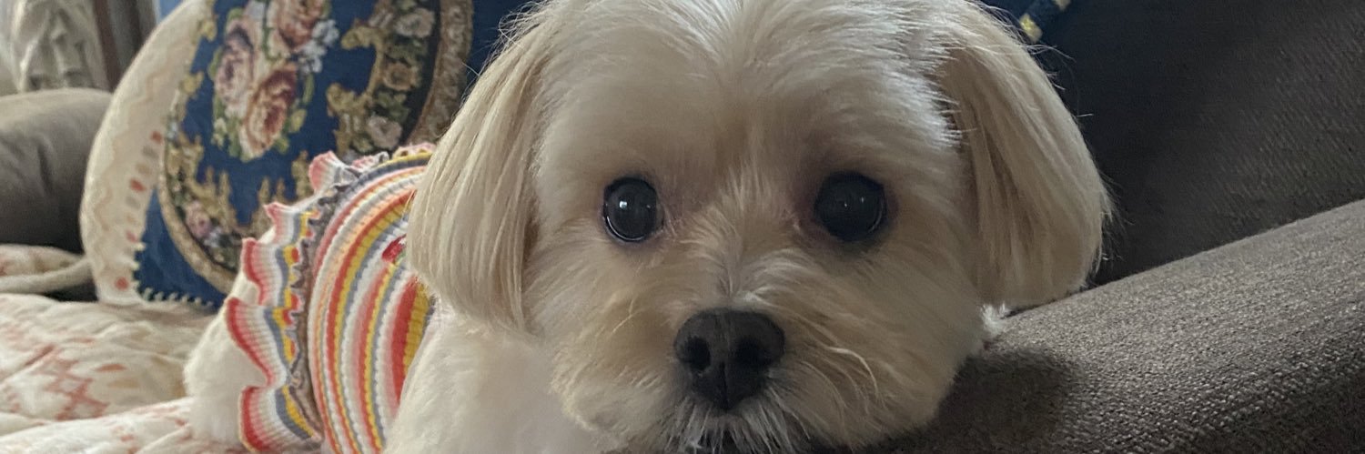 konkonjoy's profile banner image