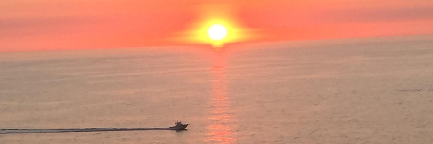 cindyschaaf1's profile banner image