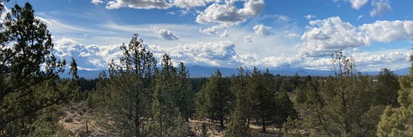 bhauer Profile Banner