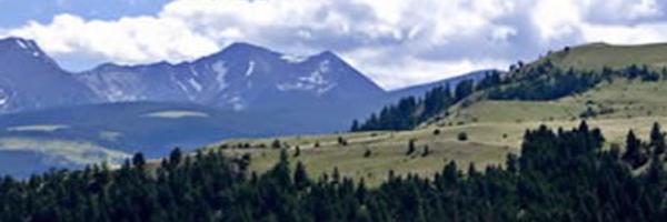 MathWarner Profile Banner