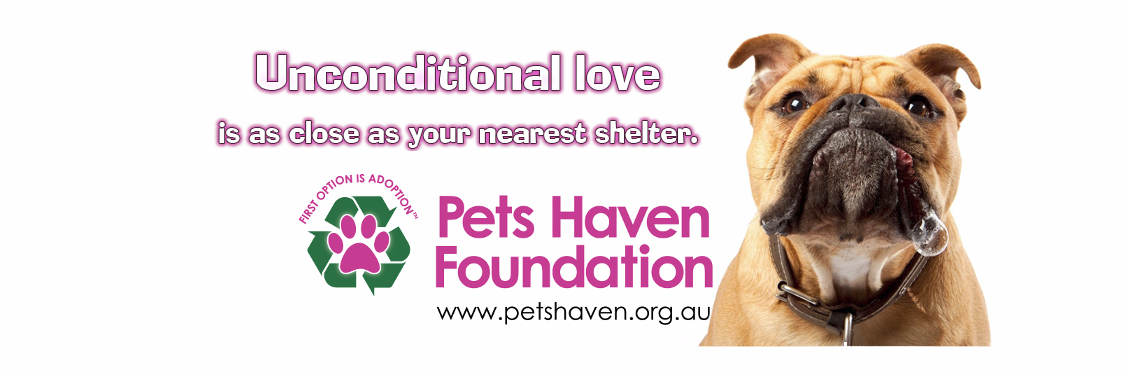 petshaven's profile banner image
