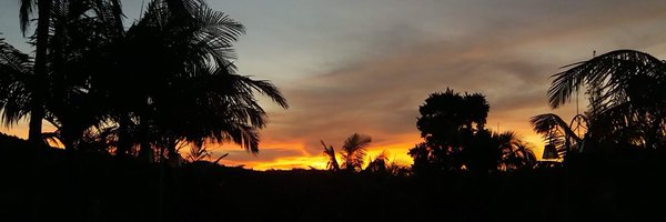 cibbs Profile Banner