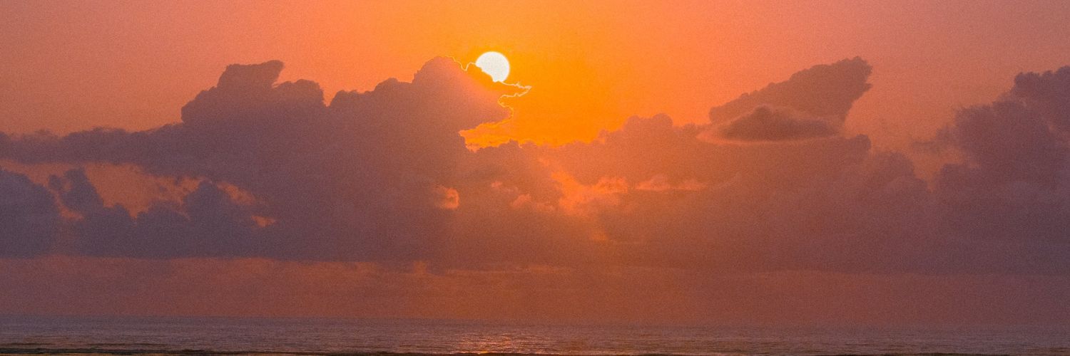 fortunatebi's profile banner image