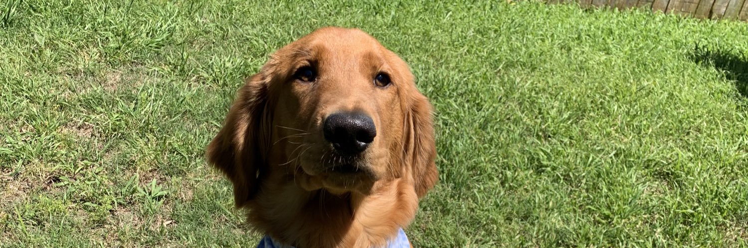 caribrown's profile banner image