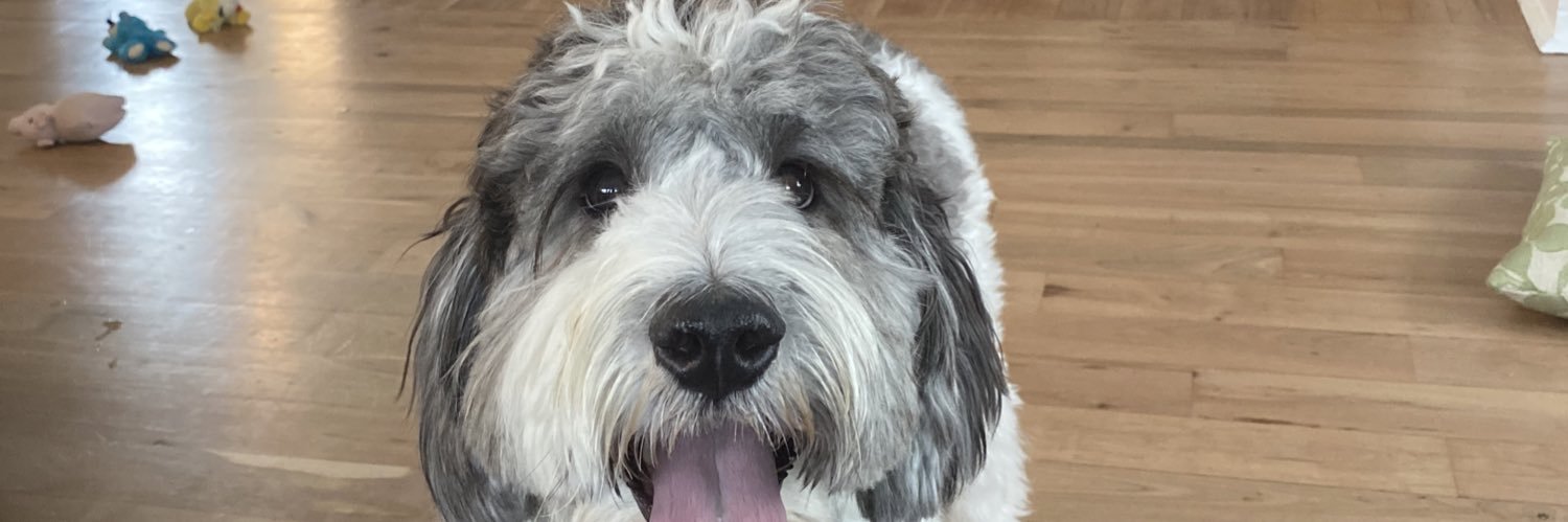 Olive_Gordon_'s profile banner image