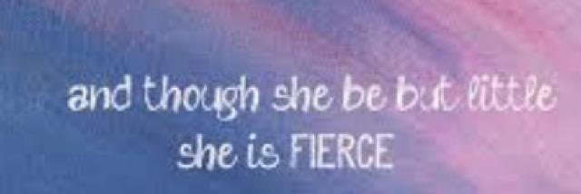 FierceAndLittle's profile banner image