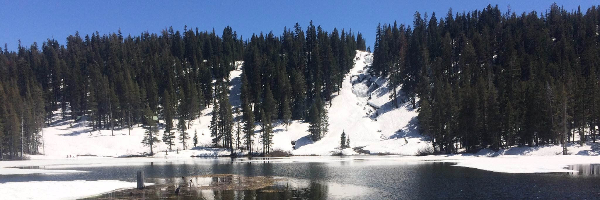 Charlotte Barry-W banner