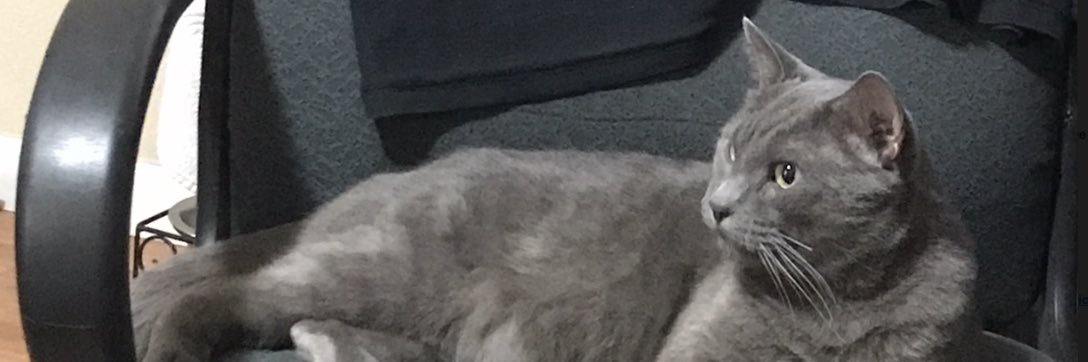 DPrieto50's profile banner image