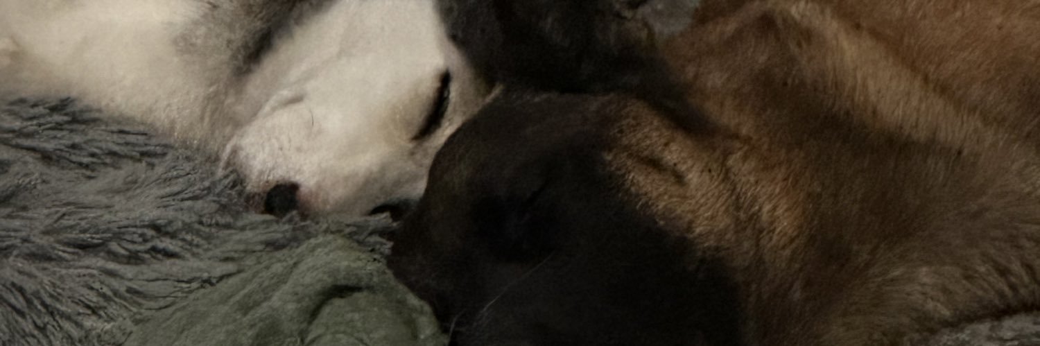 jessicollywogs's profile banner image