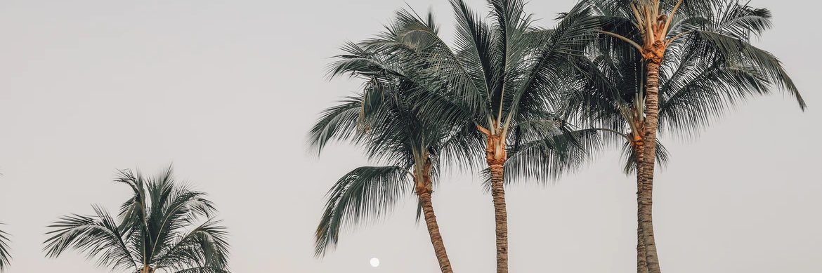 Brooktini61's profile banner image