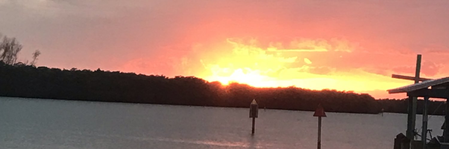 ThatSewellGuy's profile banner image