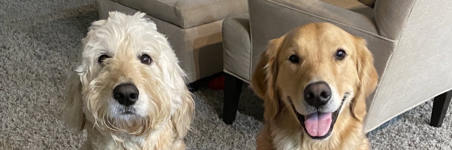 Beth Pellegrino banner