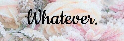 mel2717's profile banner image