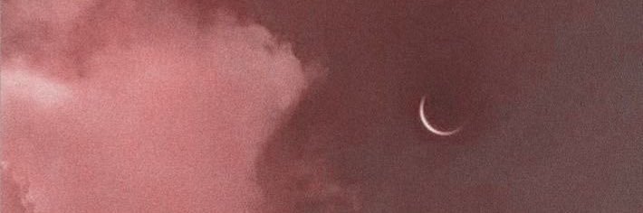 elevatedthug's profile banner image
