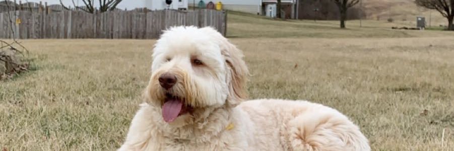 kailey_boyer's profile banner image