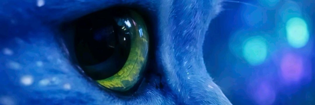 raynahasan's profile banner image