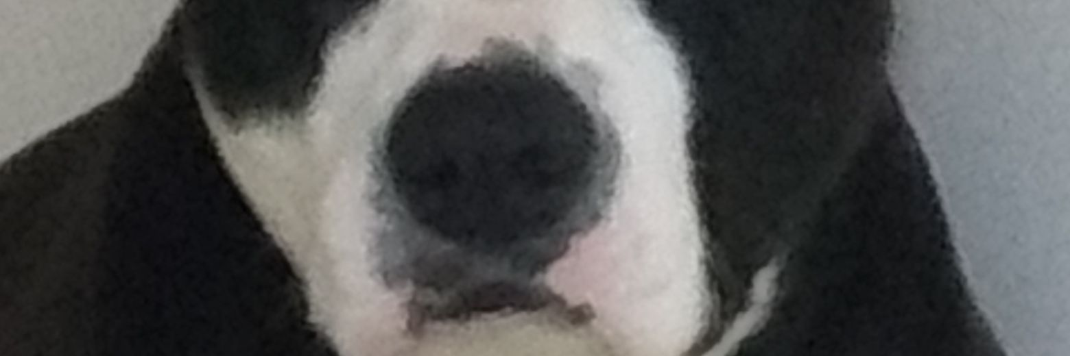 regianemgrl's profile banner image